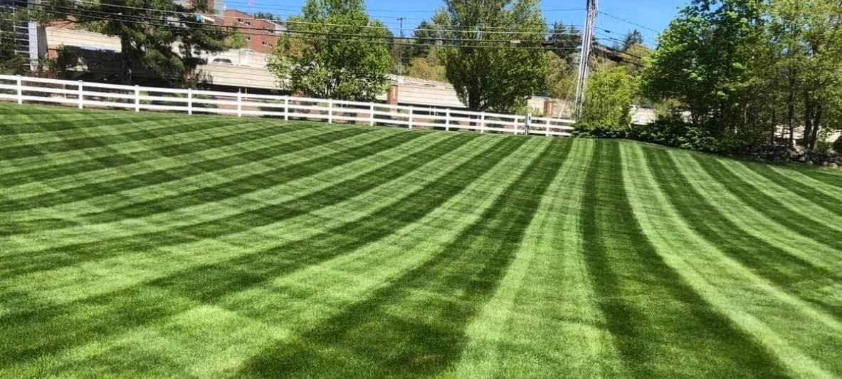 Professional lawn care service in Webster, NH