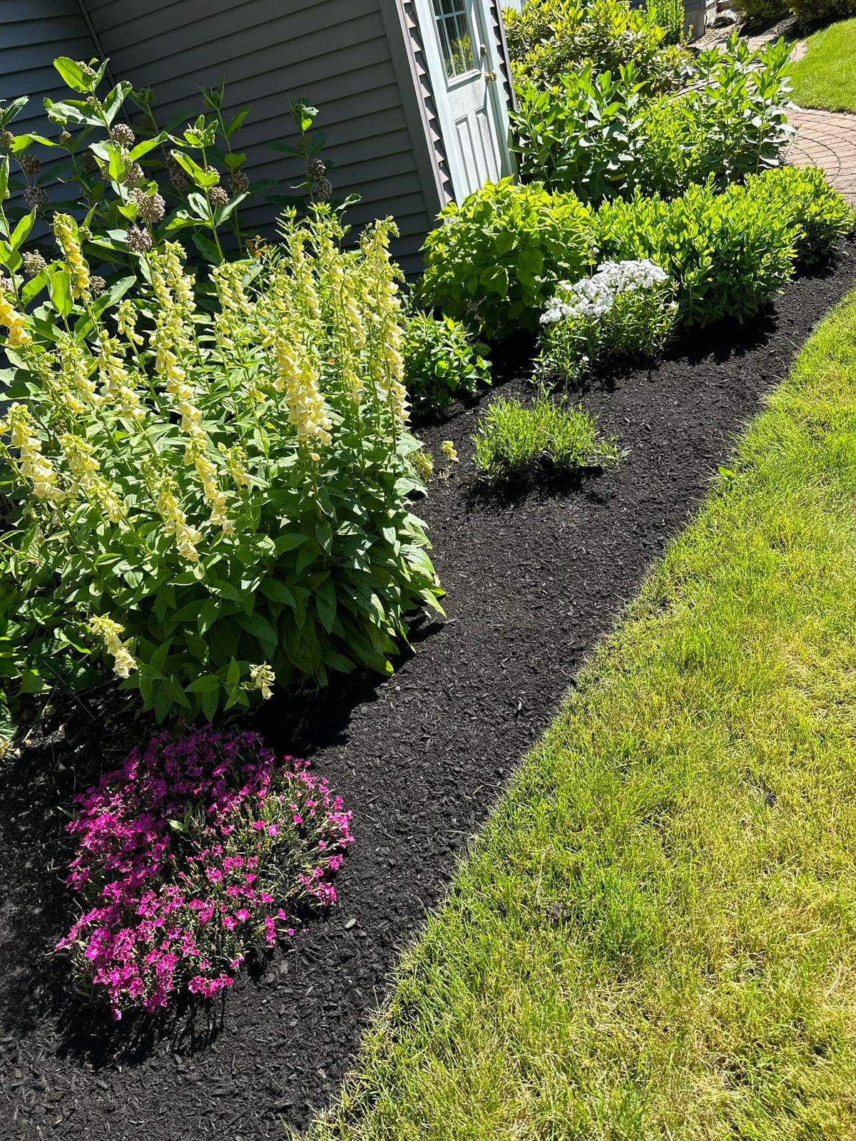 Mulch bed with perennials and clean edging by Kyle Poirier Landscaping LLC